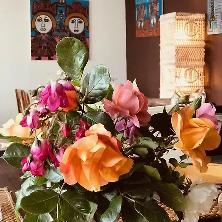 Nocleg ze śniadaniem Bahita - Betty's Gabicce Mare