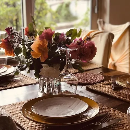 Bahita - Betty's Габичче-Маре