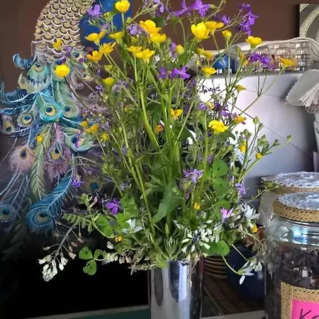 Bahita - Betty's Отель типа 