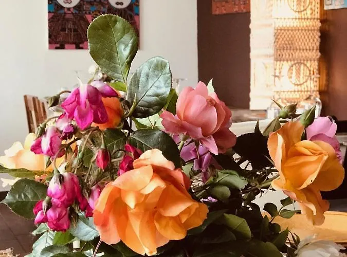 Panzió Bahita - Betty's Gabicce Mare